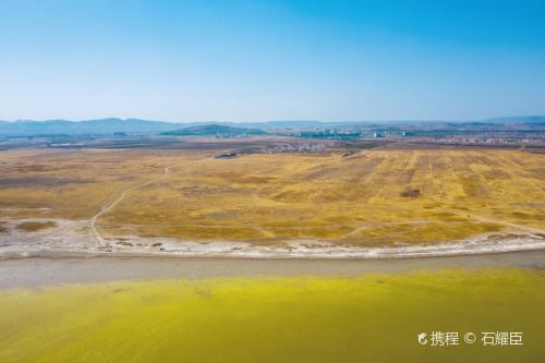 黄旗海湿地自然保护区