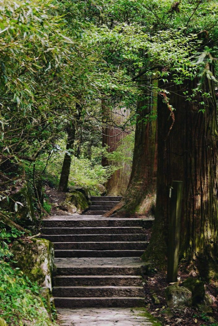 天目山景区