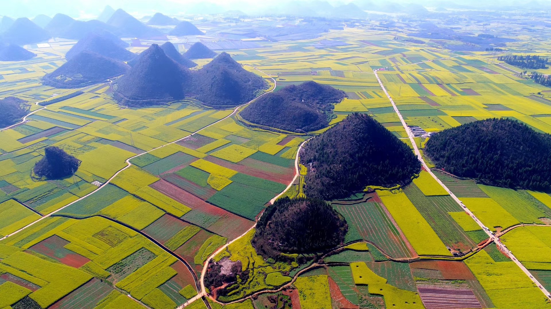 罗平油菜花景区旅游景点攻略图