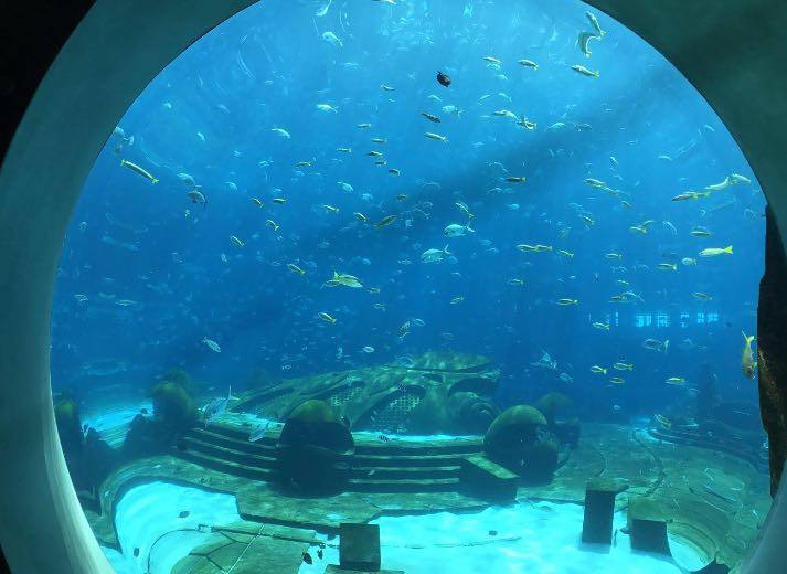 三亚亚特兰蒂斯失落的空间水族馆