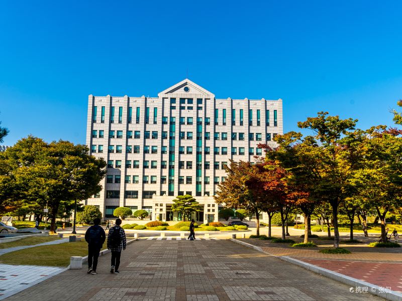 釜山釜庆大学攻略-釜庆大学门票价格多少钱-团购票价预定优惠-景点