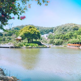 帽峰山森林公园    分 1条点评 森林 山 自然风光 距景点4.9km