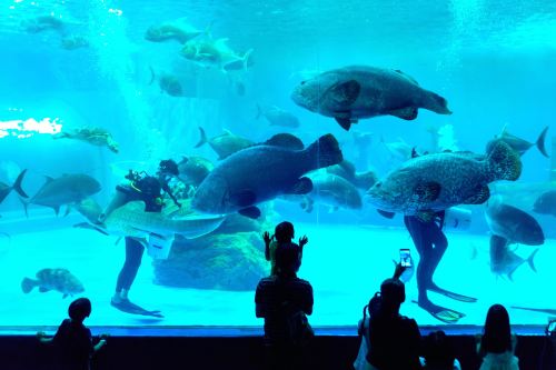 盛贝特海洋水族馆