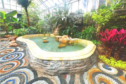 大兴区大兴龙熙温泉攻略-大兴龙熙温泉门票价格多少钱