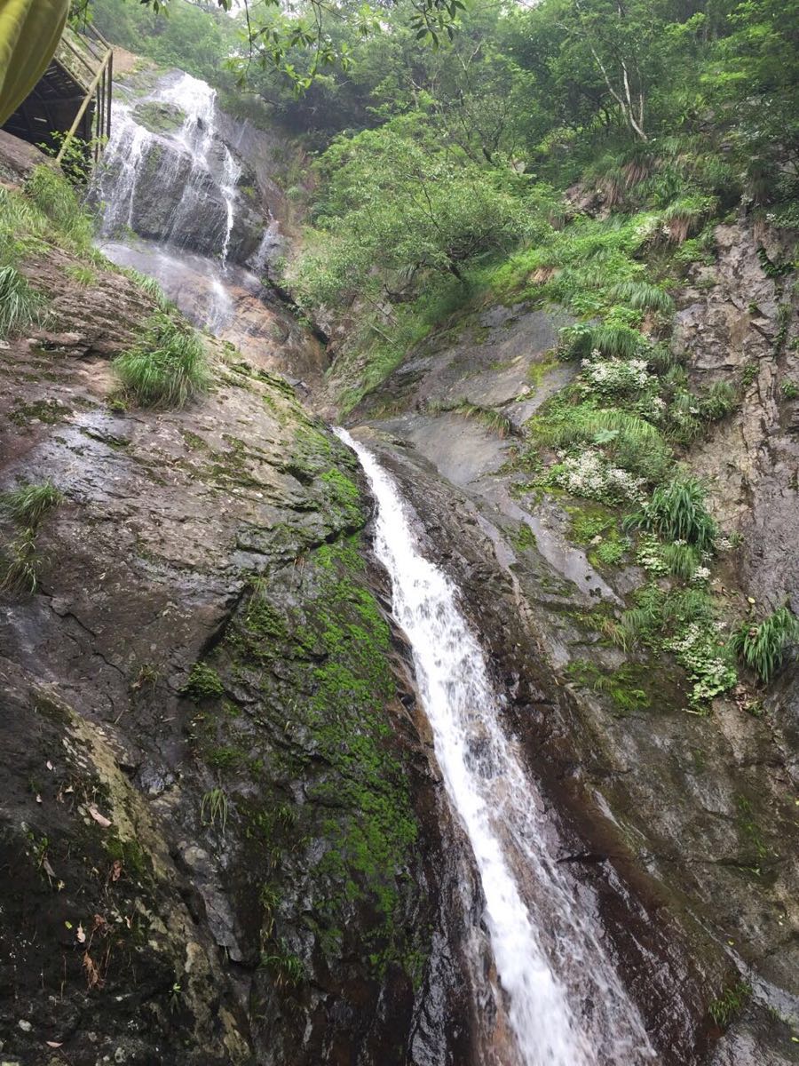 东天目山景区
