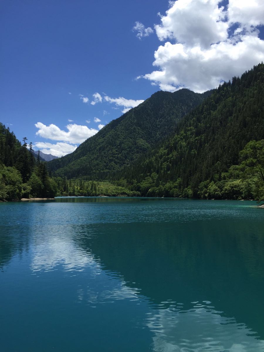 【携程攻略】四川阿坝九寨沟九寨沟风景区好玩吗,四川