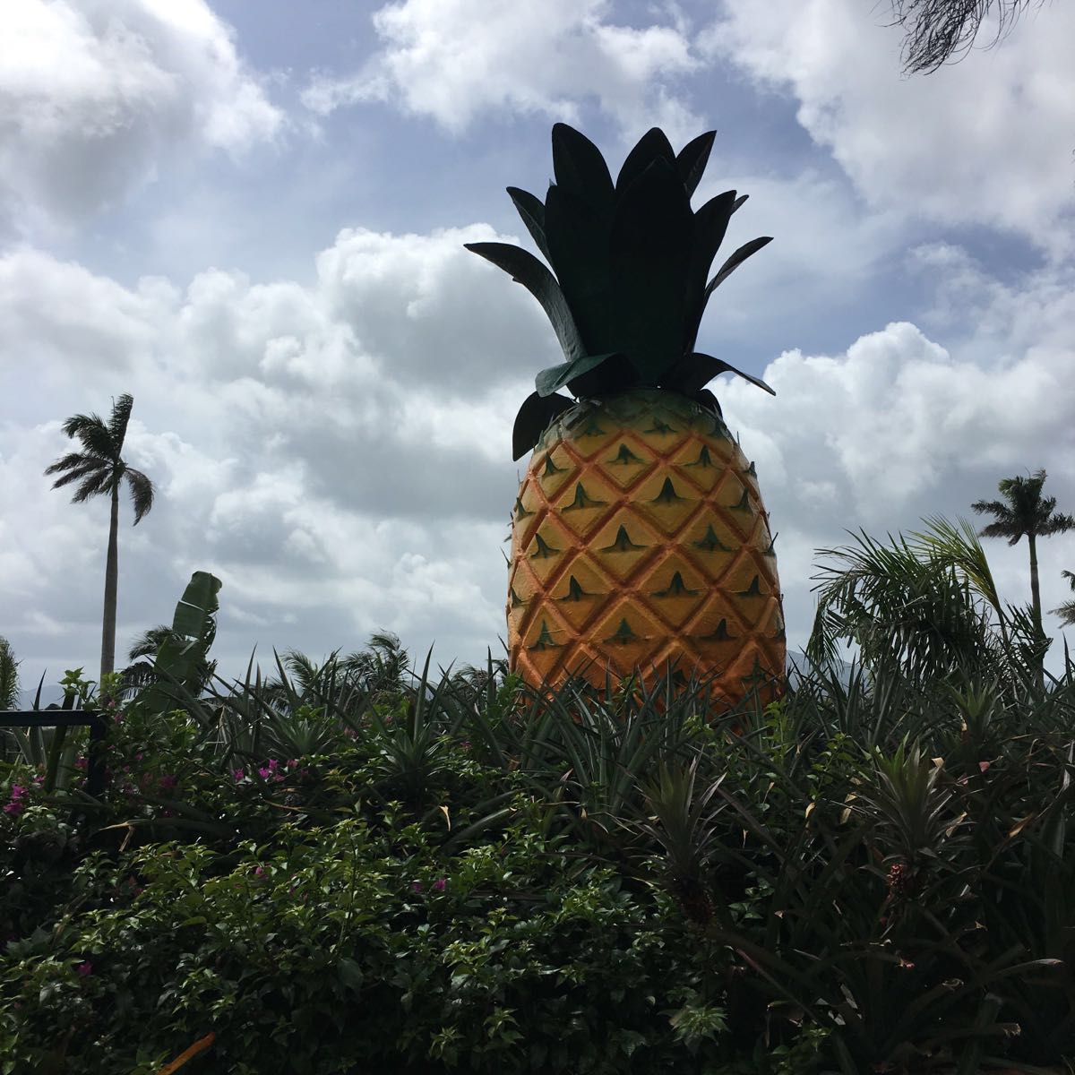 名护菠萝园