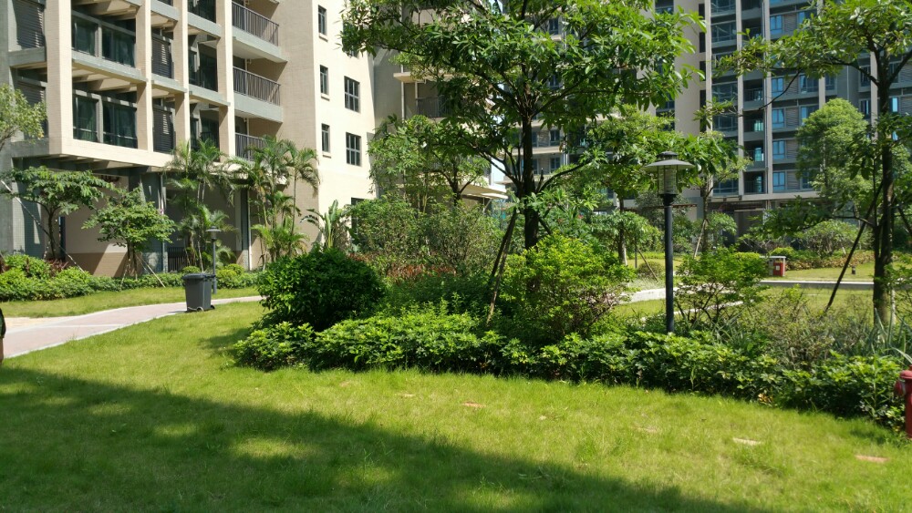 小四川酒楼无人岛野外生存游戏攻略图片