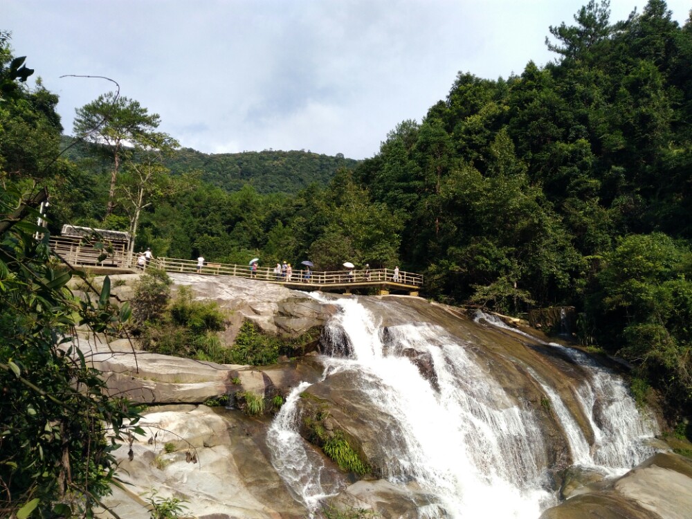 【携程攻略】福建龙岩武平梁野山好玩吗,福建梁野山景点怎麼样_点评