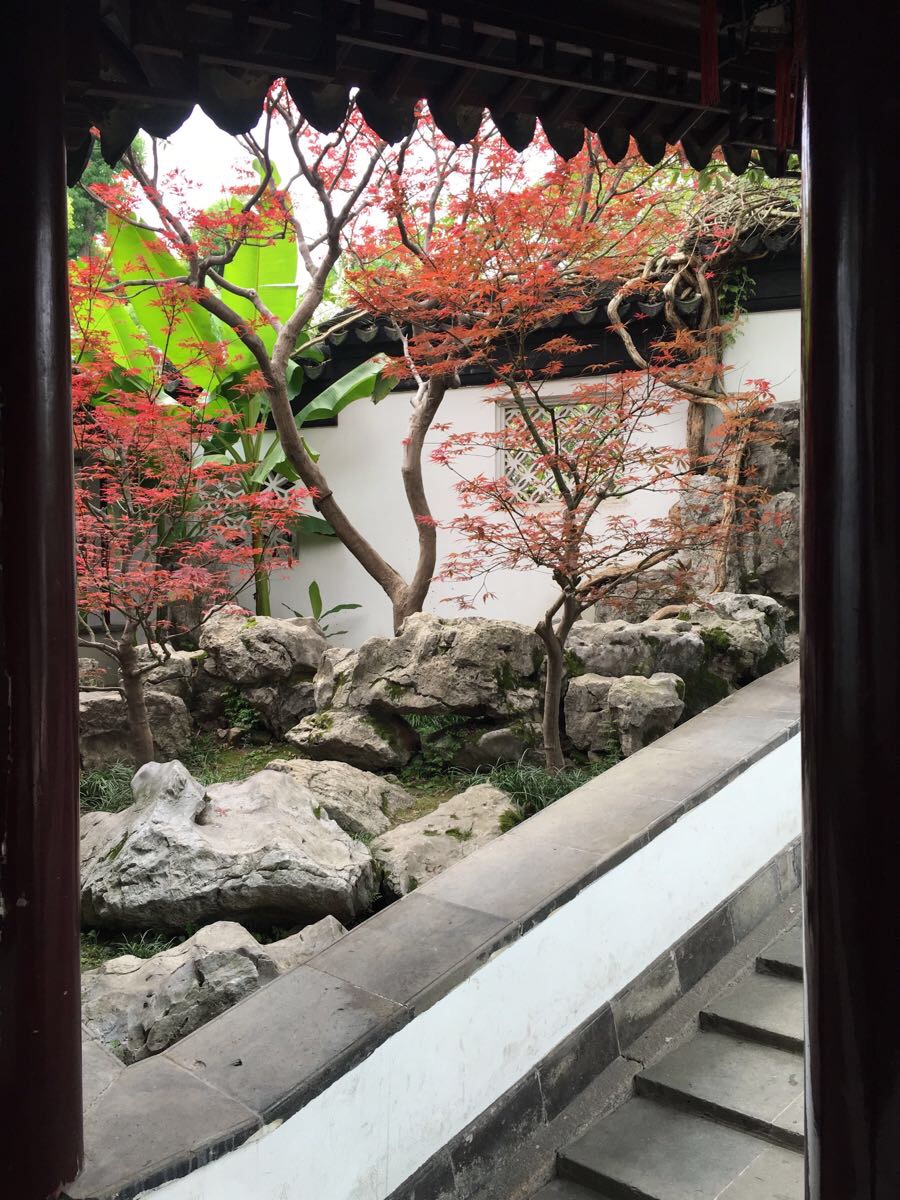 2019瞻园_旅游攻略_门票_地址_游记点评,南京旅游景点推荐 - 去哪儿