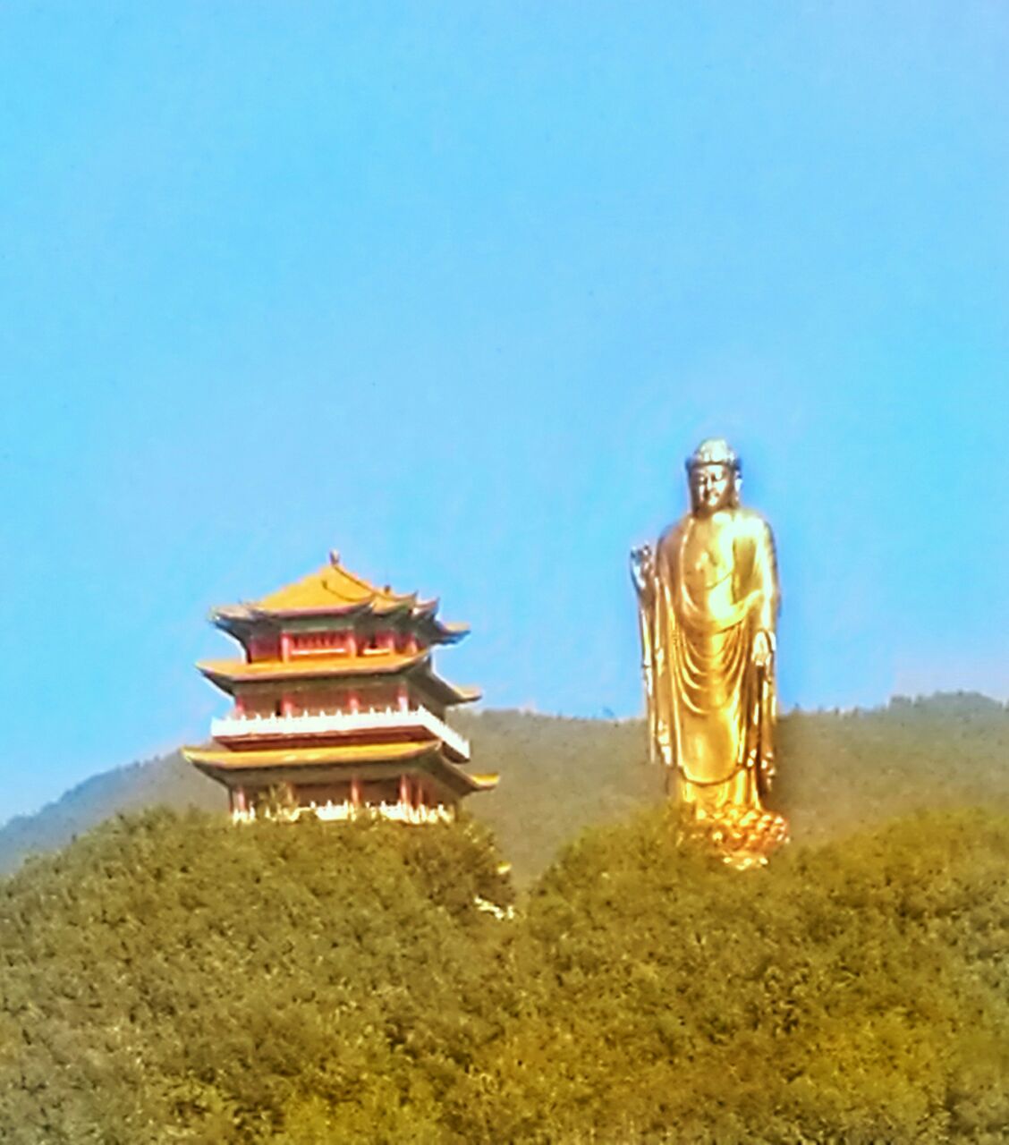 2018中原大佛景区_旅游攻略_门票_地址_游记点评,鲁山