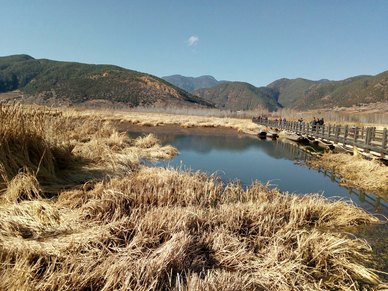 草海旅游景点攻略图