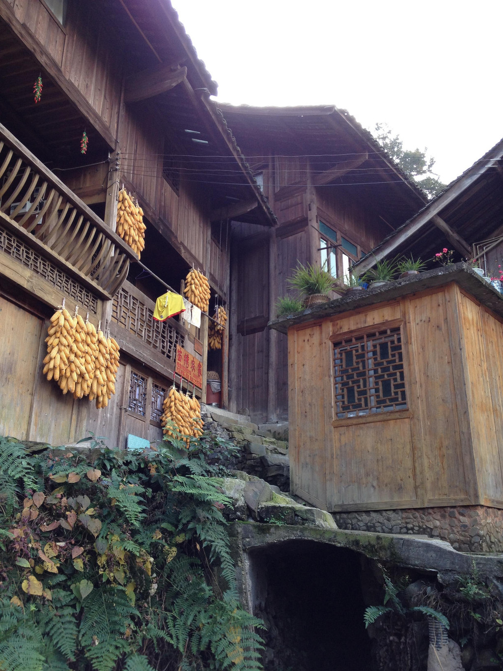 贵州深山发现一小房子，建在百米高悬崖上，这样的房子你敢住吗？_哔哩哔哩_bilibili