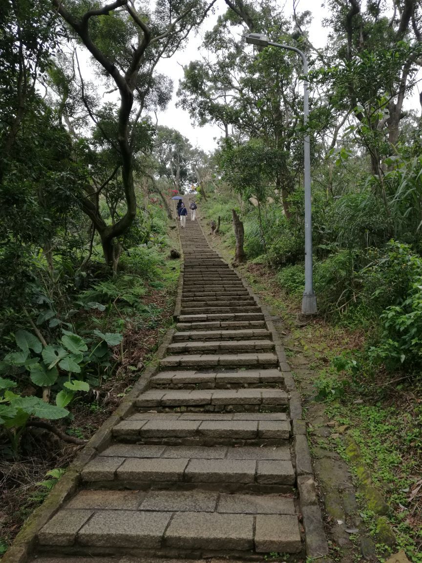 台北象山自然步道好玩吗,台北象山自然步道景点怎么样