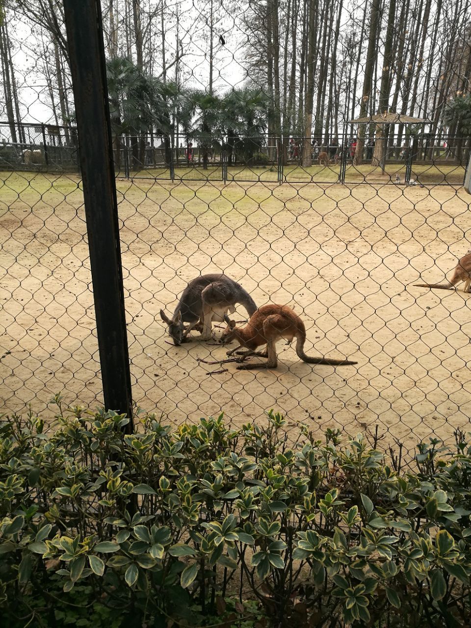 武汉动物园