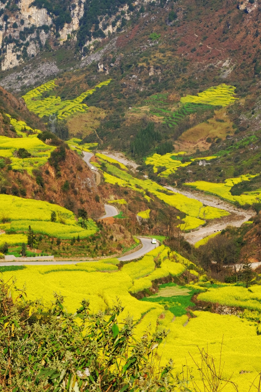 罗平油菜花海旅游景点攻略图