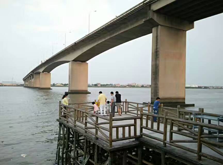 海鸥岛