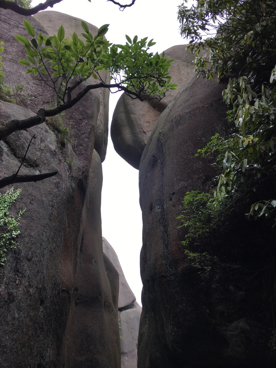 福鼎太姥山好玩吗,福鼎太姥山景点怎么样_点评_评价