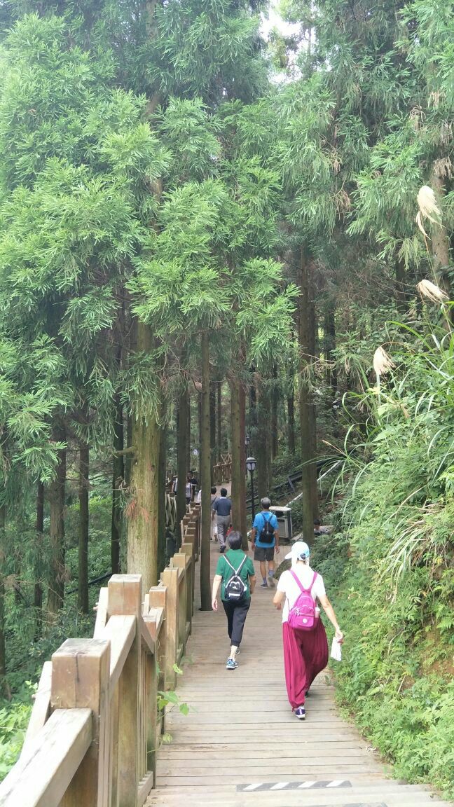 福州鼓岭风景区好玩吗,福州鼓岭风景区景点怎么样