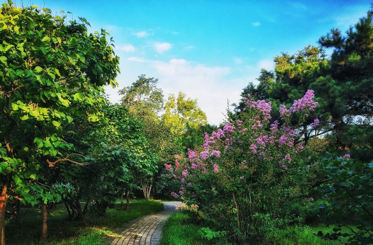 北京植物园