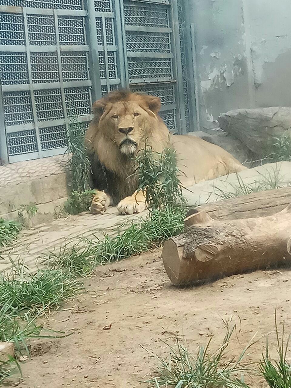 济南动物园jinan zoo