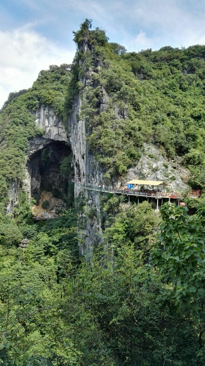 融安旅游旅游景点推荐-去哪儿攻略