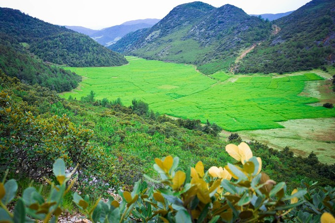 去了这个地方才知道,原来攀枝花竟然还有这么美的地方