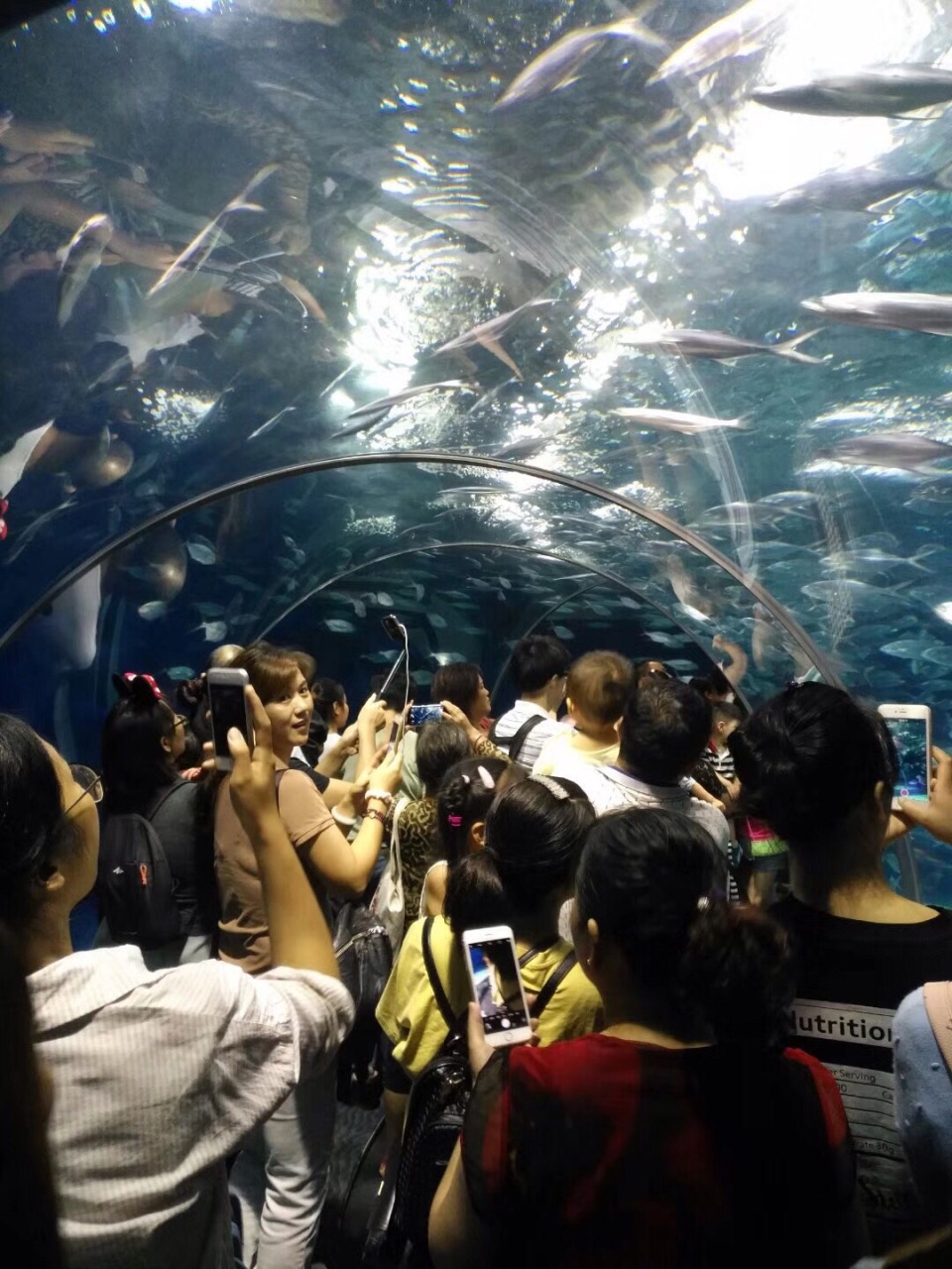 上海海洋水族馆