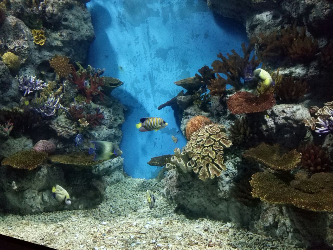 罗源湾海洋世界