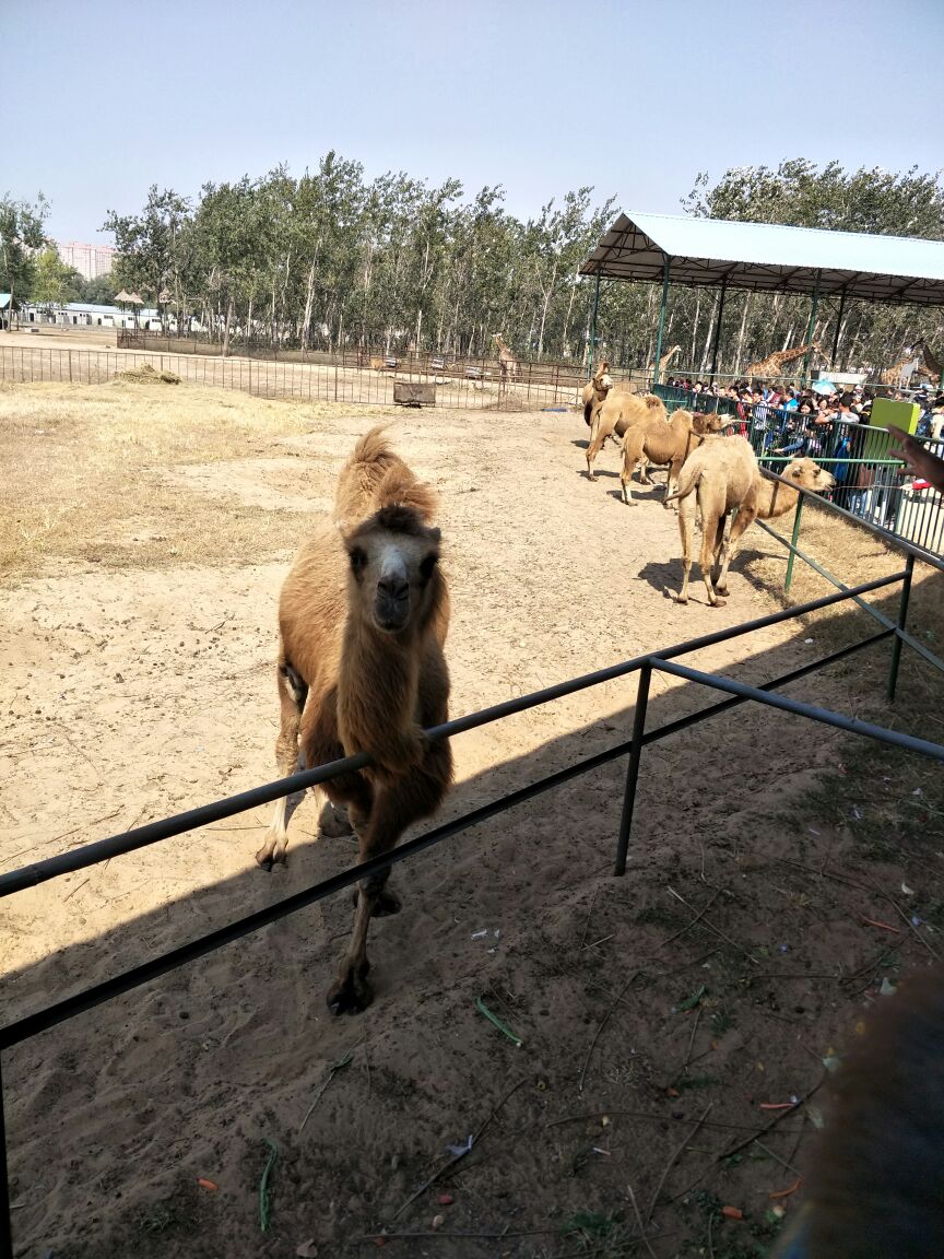 秦皇岛野生动物园