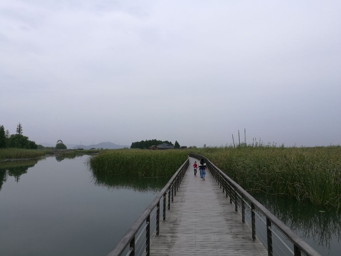 苏州太湖湖滨国家湿地公园