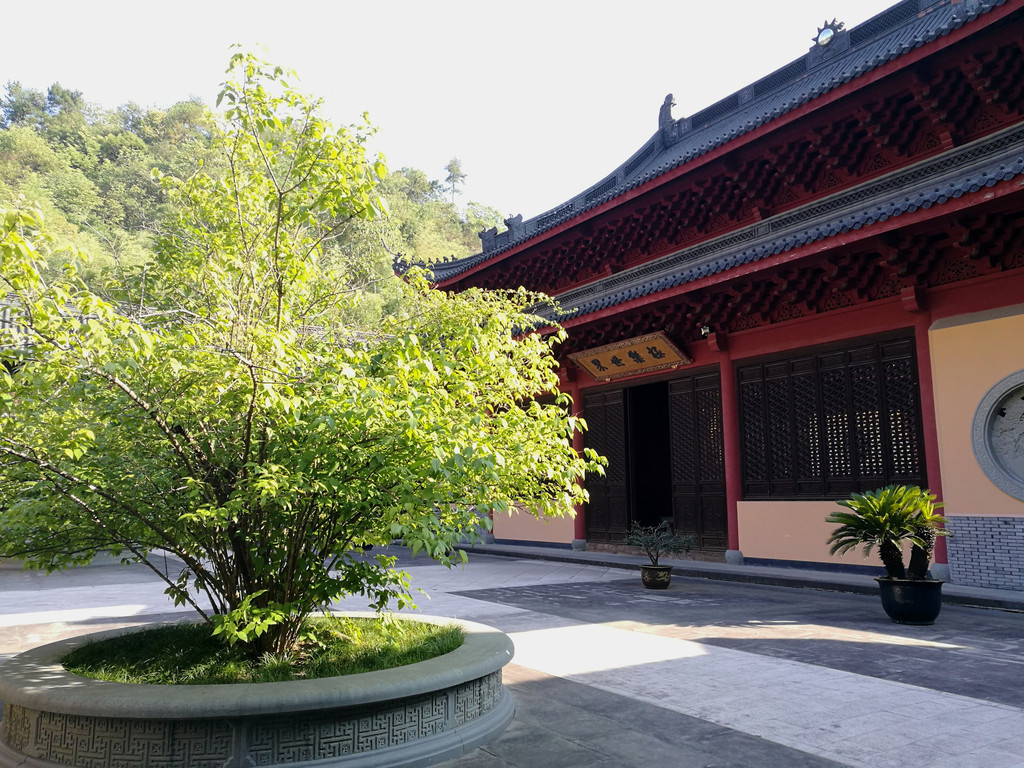 绍兴 新昌大佛寺,温州乐清雁荡山,象山石浦自驾三晚四日游——国庆