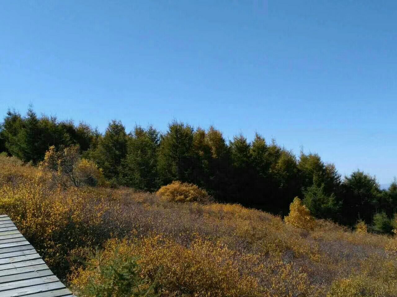 【携程攻略】兴和苏木山旅游区好玩吗,兴和苏木山旅游