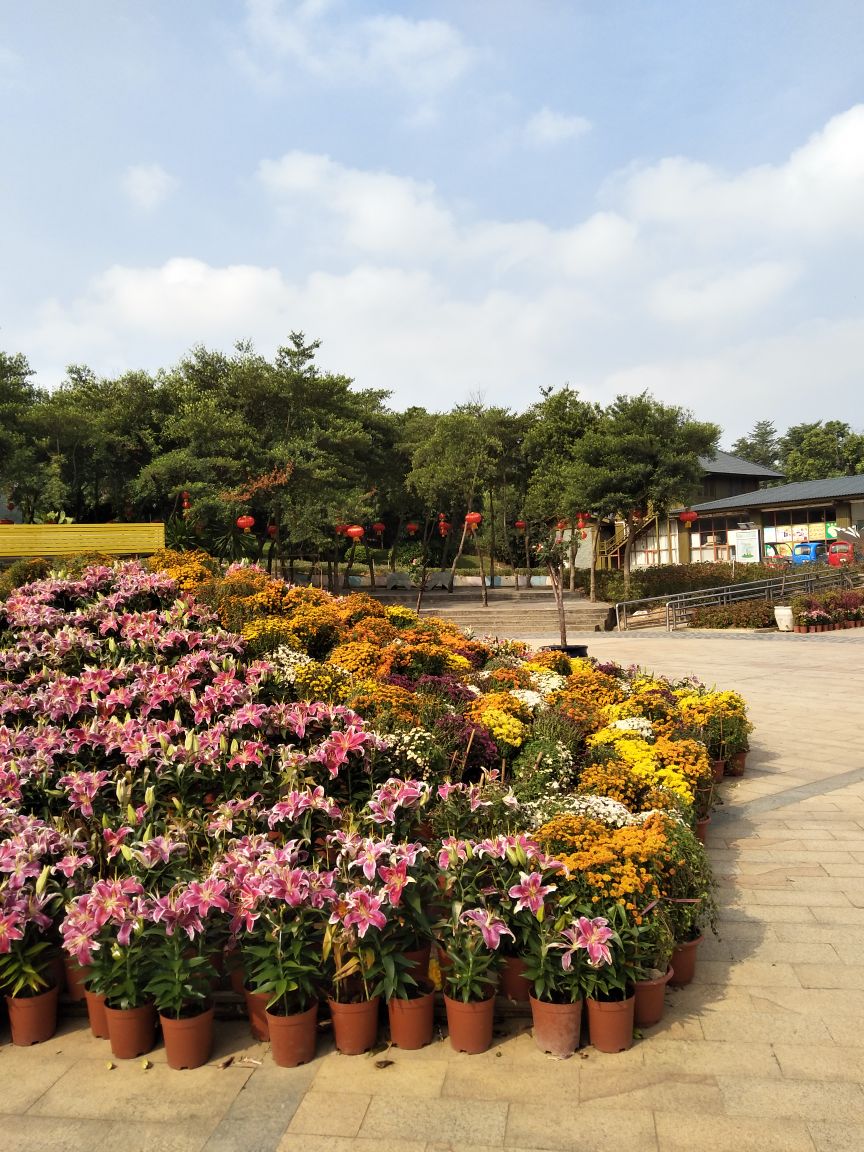 东莞梦幻百花洲好玩吗,东莞梦幻百花洲景点怎么样