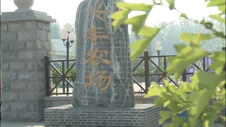 大手牵小手走进沧州兴丰农场"丰尔庄园"旅程