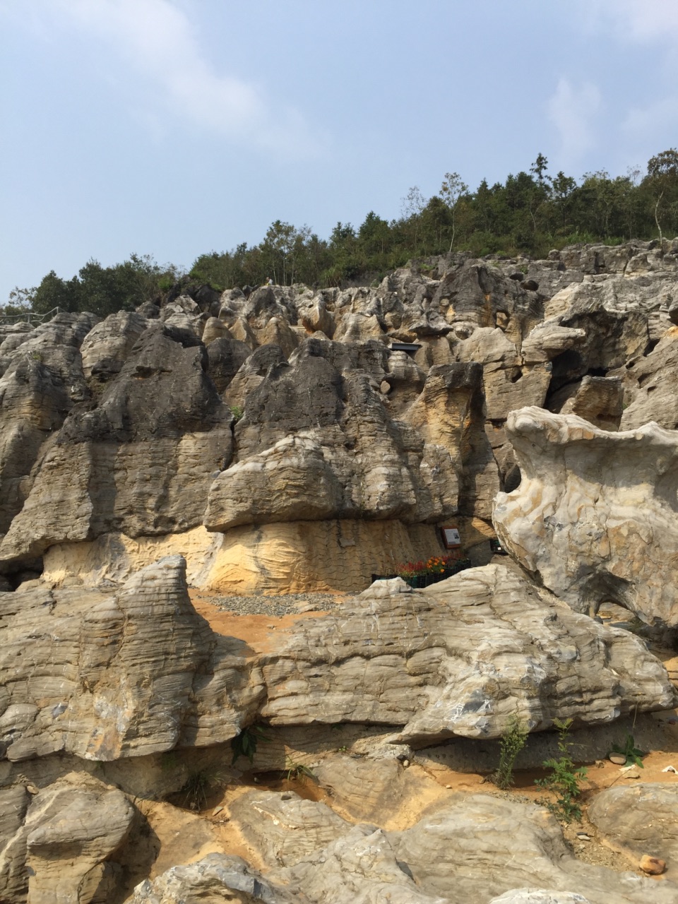 西递石林景区