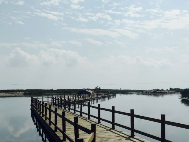 黄河入海口湿地公园和黄河入海口生态旅游区是一个景区吗?