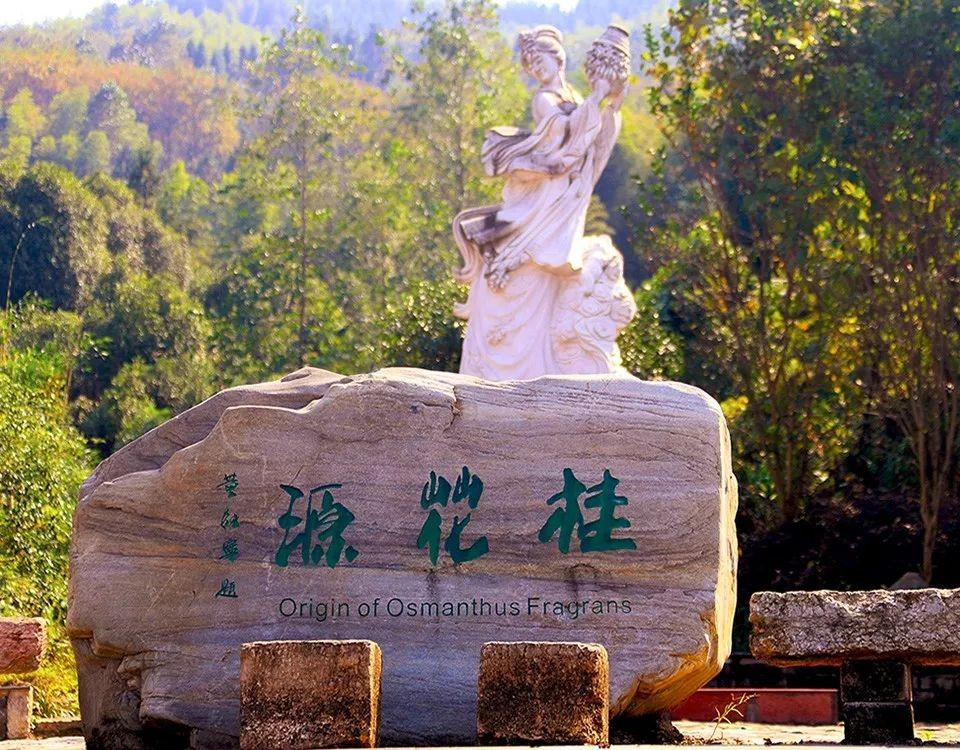 咸宁旅游|咸宁八景之桂花源深