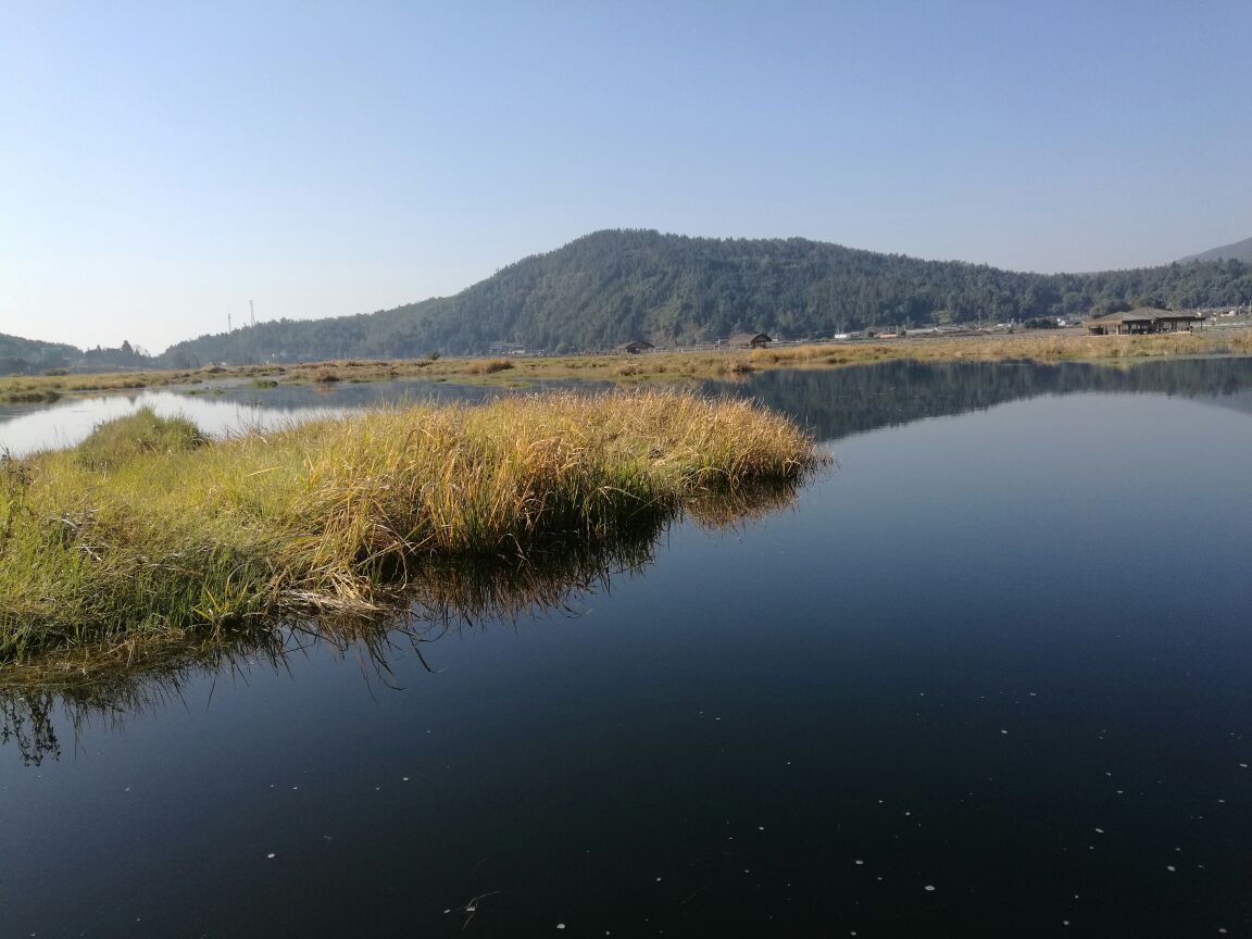 北海湿地