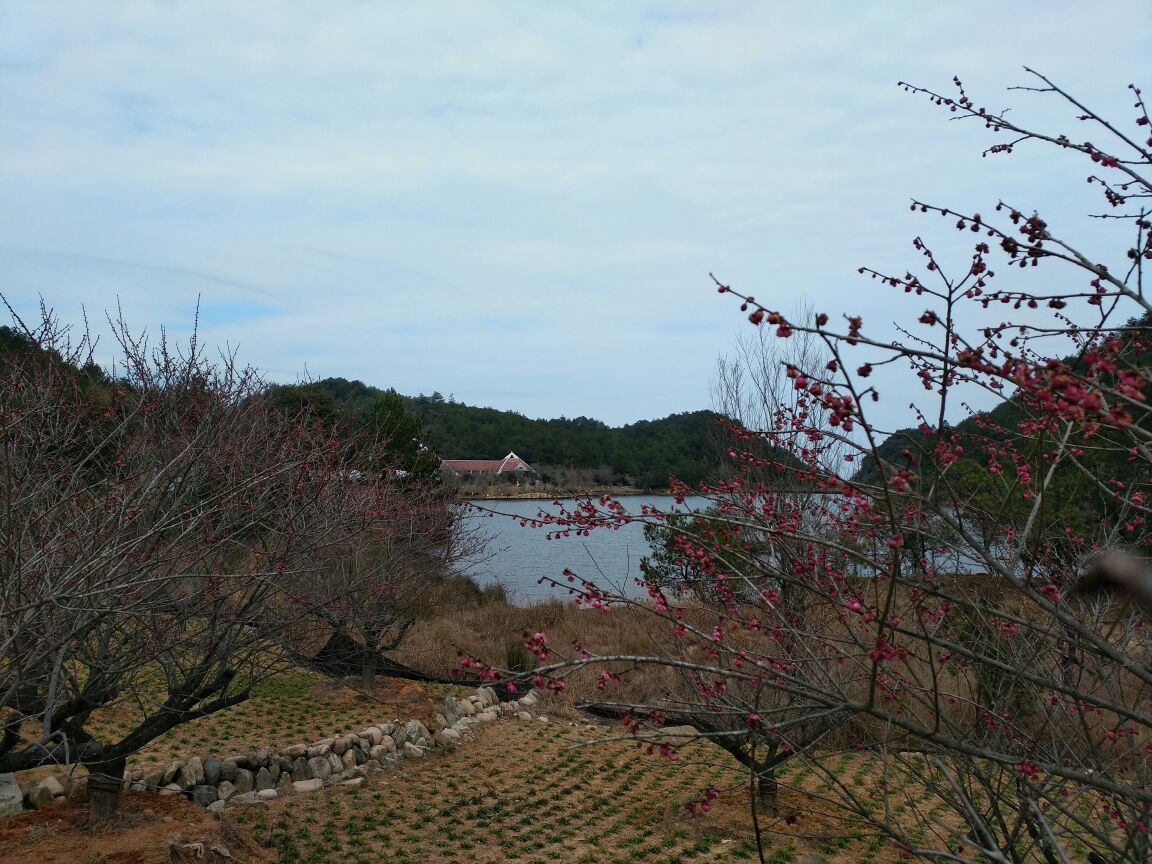 【携程攻略】上杭梅花山(中国虎园)景点,本想看老虎