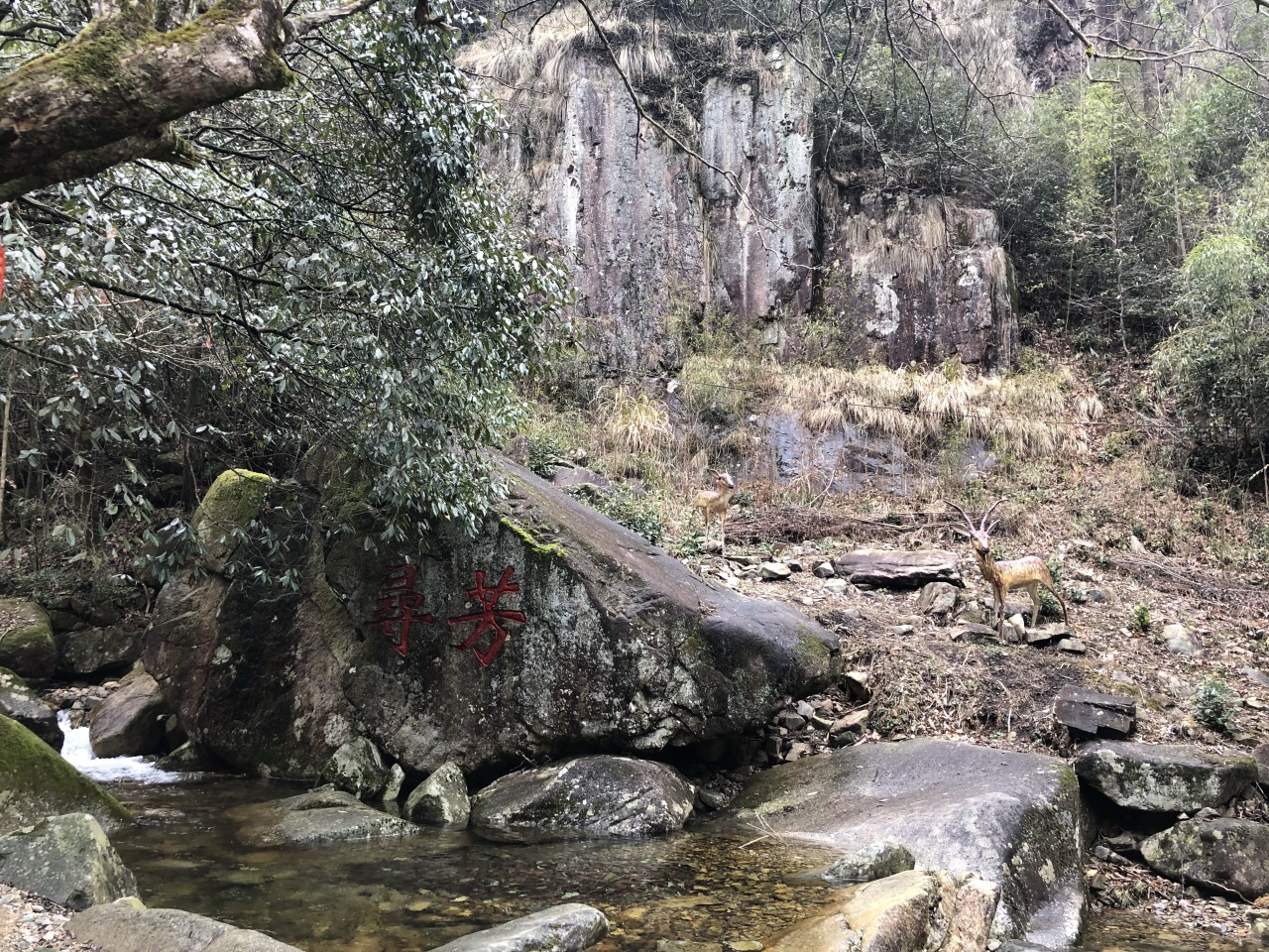 临安神龙川风景区攻略,临安神龙川风景区门票/游玩