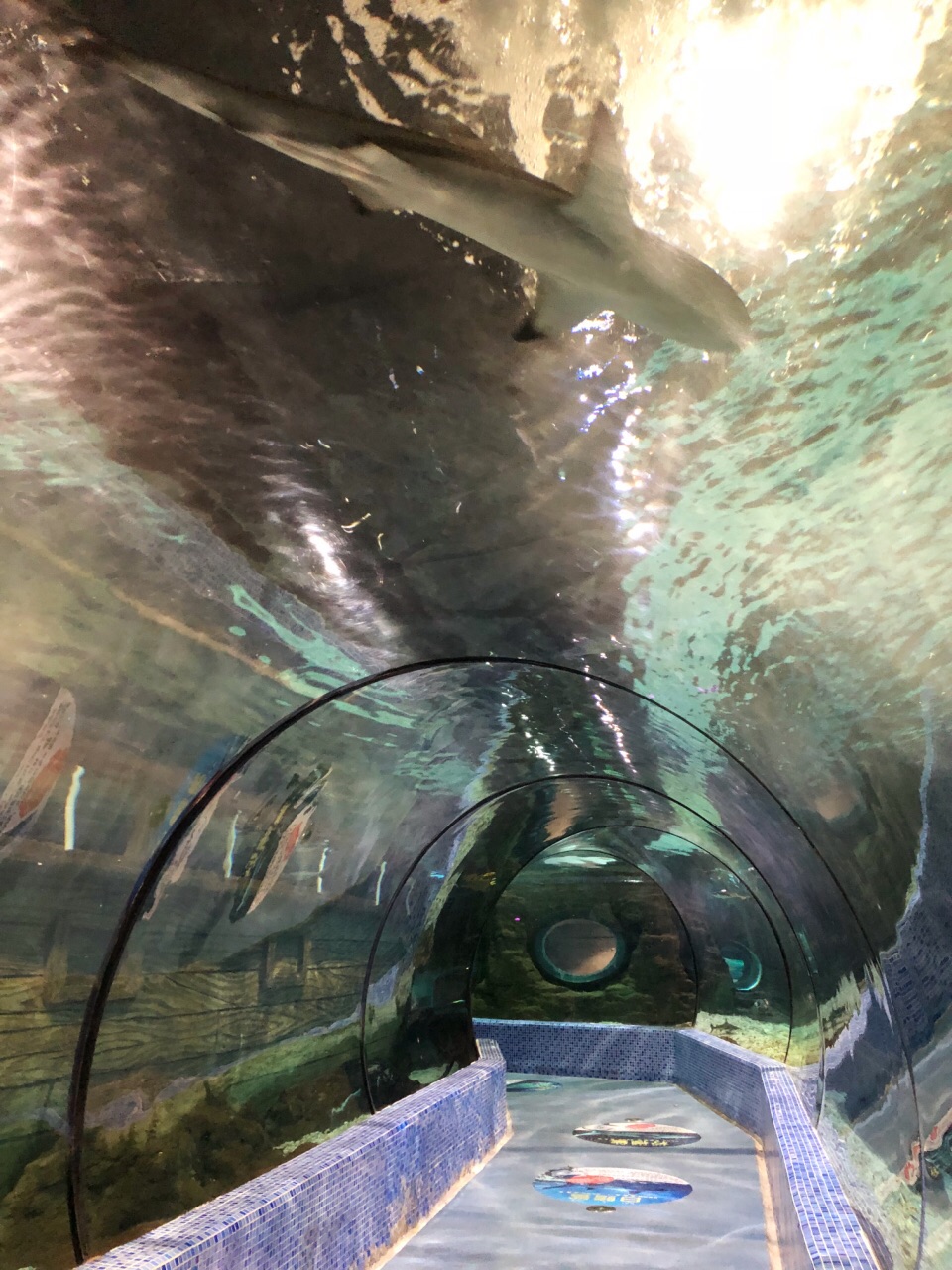 南太湖海洋公园