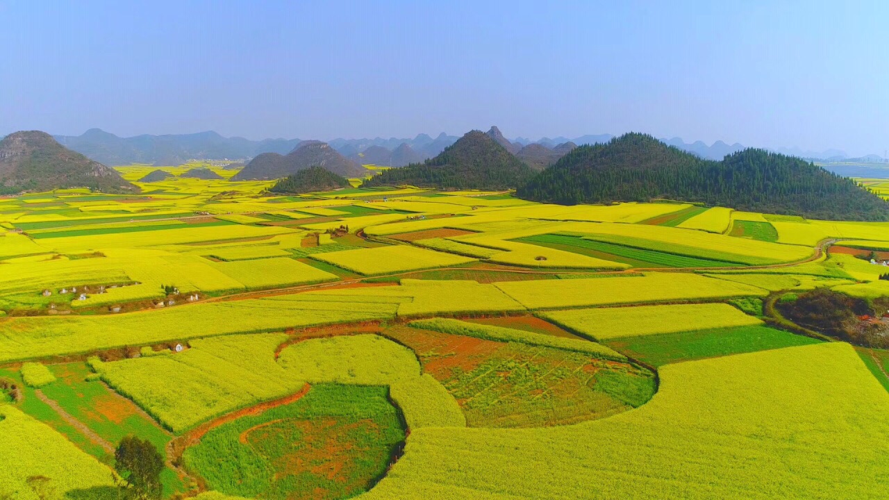 罗平油菜花景区旅游景点攻略图