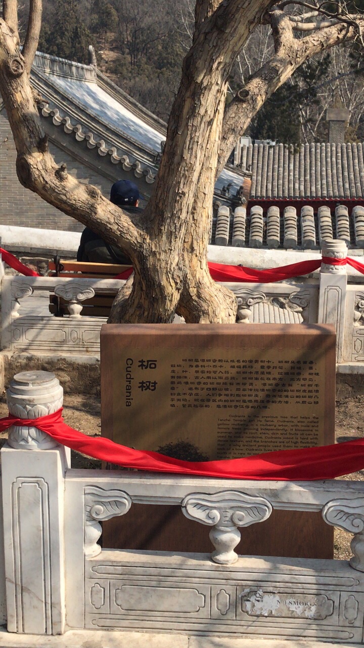 2019潭柘寺游玩攻略,先有潭柘寺,后有北京城.始.
