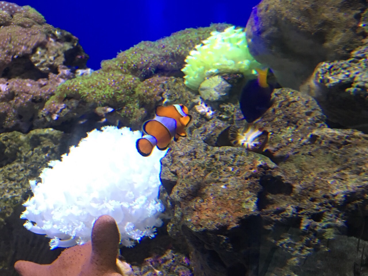江和美海洋公园