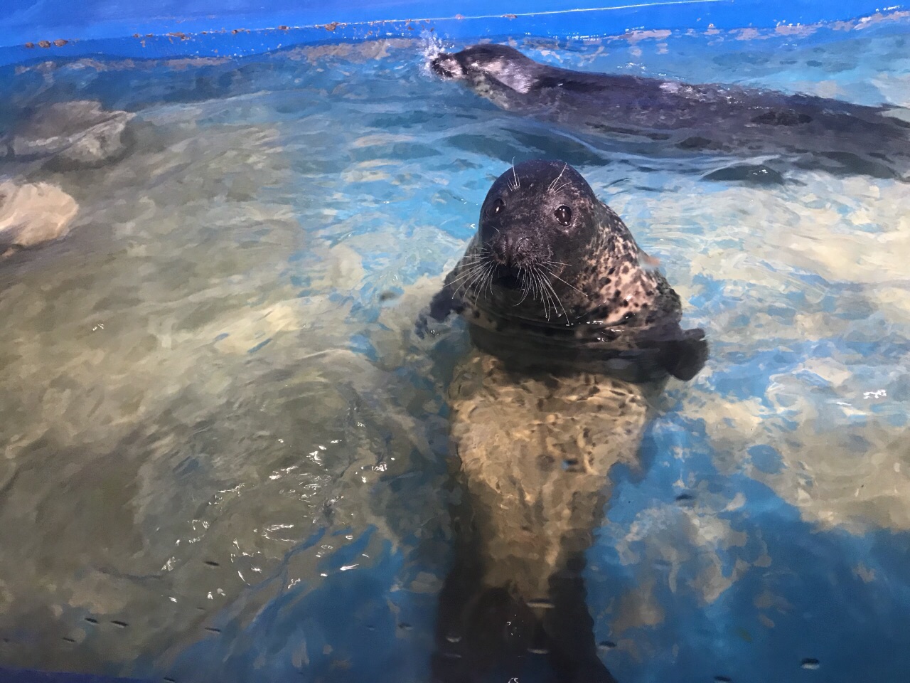 2018郑州海洋馆_旅游攻略_门票_地址_游记点评,郑州旅游景点推荐 - 去