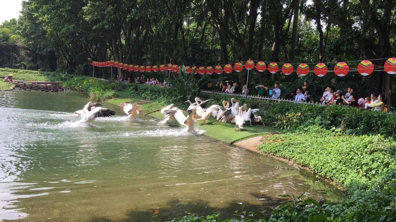 长隆飞鸟乐园