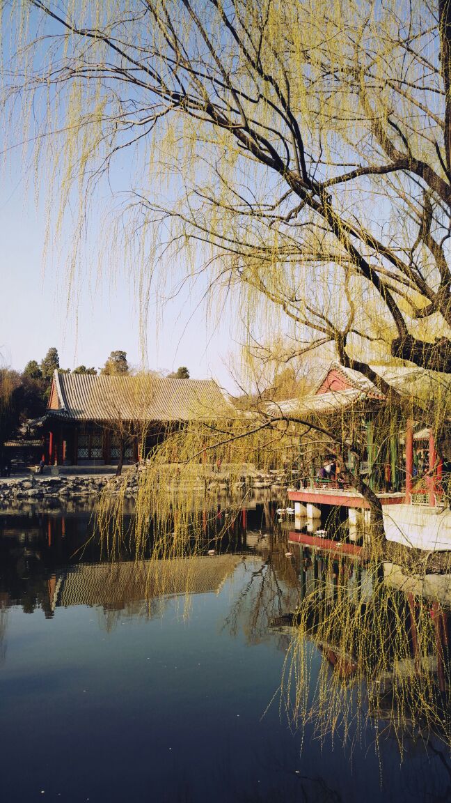 北京谐趣园好玩吗,北京谐趣园景点怎么样_点评_评价【携程攻略】