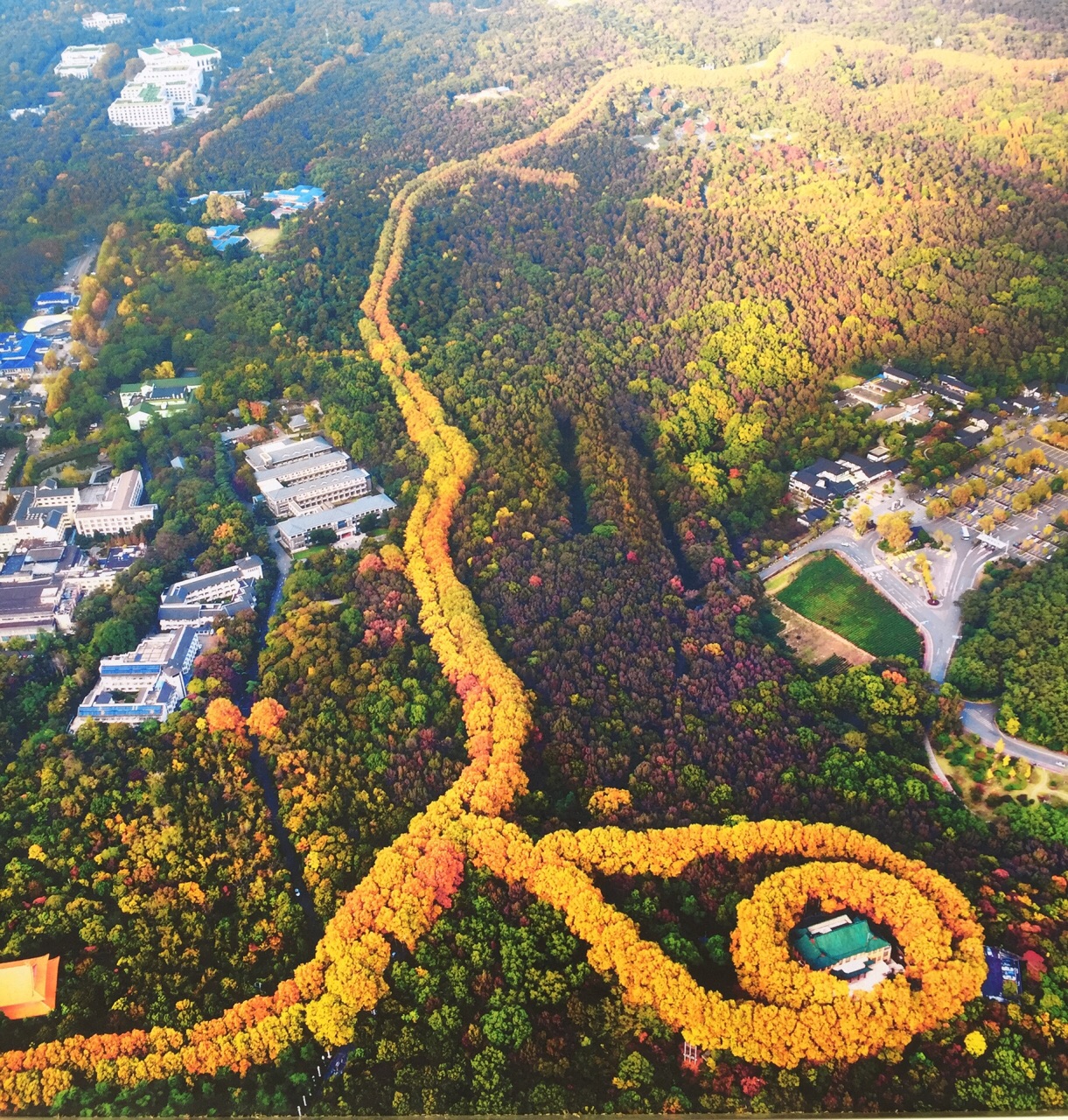 南京钟山风景名胜区好玩吗,南京钟山风景名胜区景点样