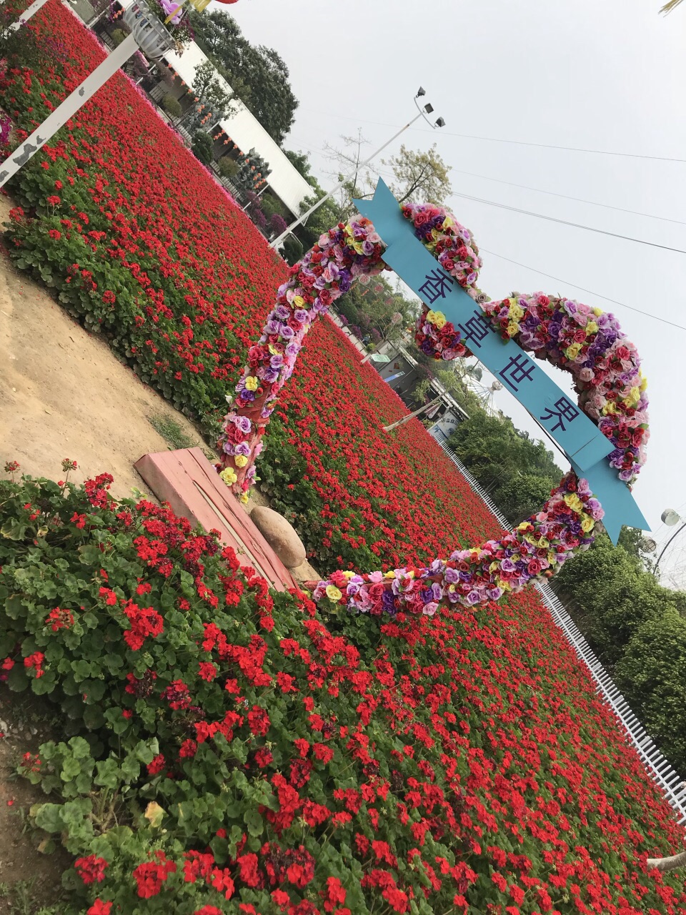 香草攻略略图旅游景点攻世界三亚天涯海角自由行花都图片